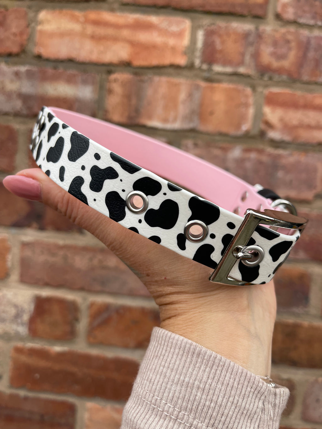 Create Your Own Printed BioThane Collar