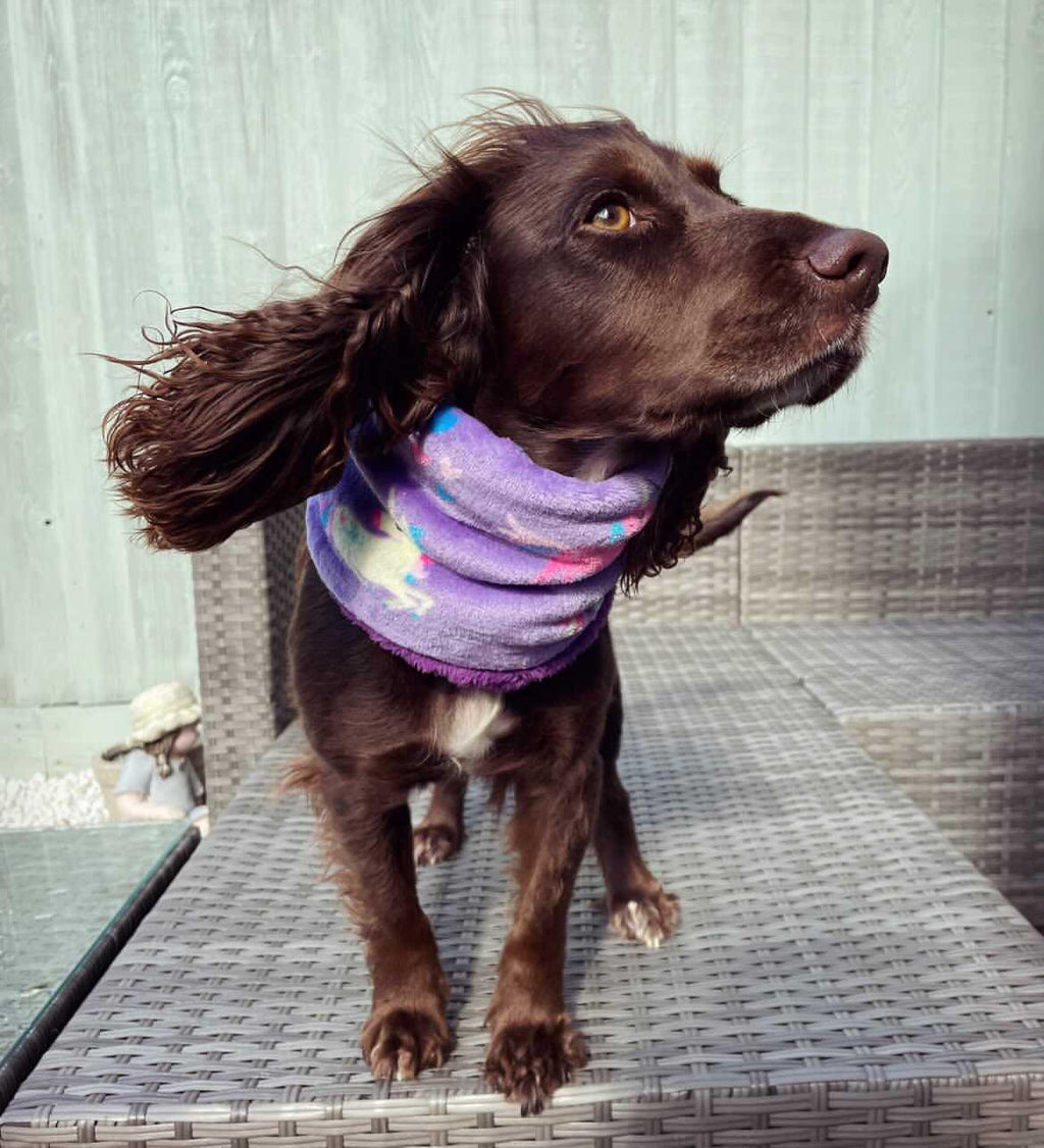 Double-Lined Fleece Dog Snood – Calming Neck Warmer for Anxiety, Fireworks & Agility Dogs