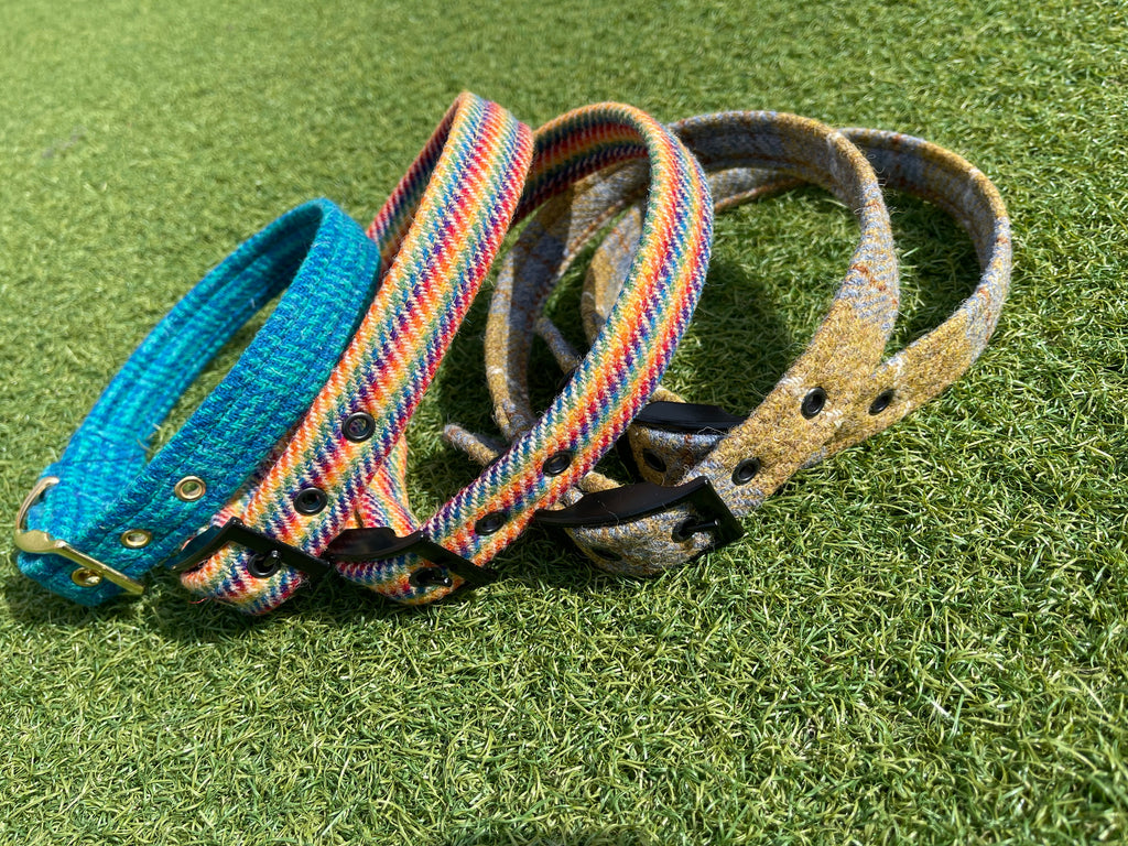 Harris Tweed Collar - Blues / Greens Designs