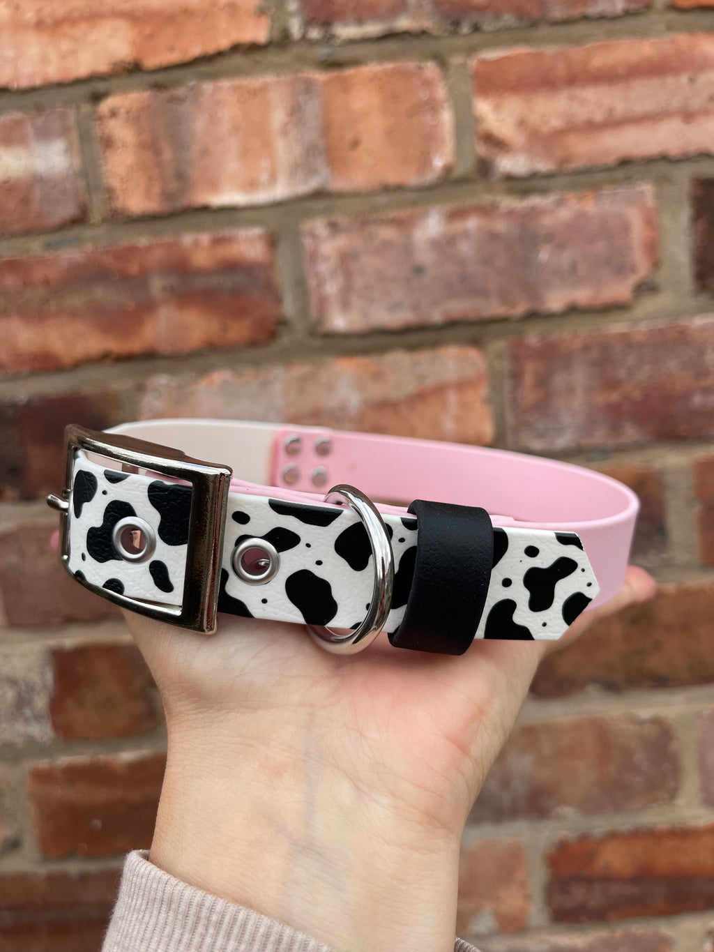 Create Your Own Printed BioThane Collar
