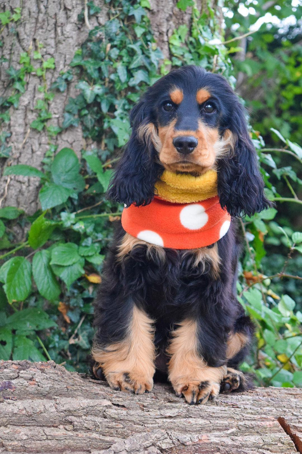 Double-Lined Fleece Dog Snood – Calming Neck Warmer for Anxiety, Fireworks & Agility Dogs