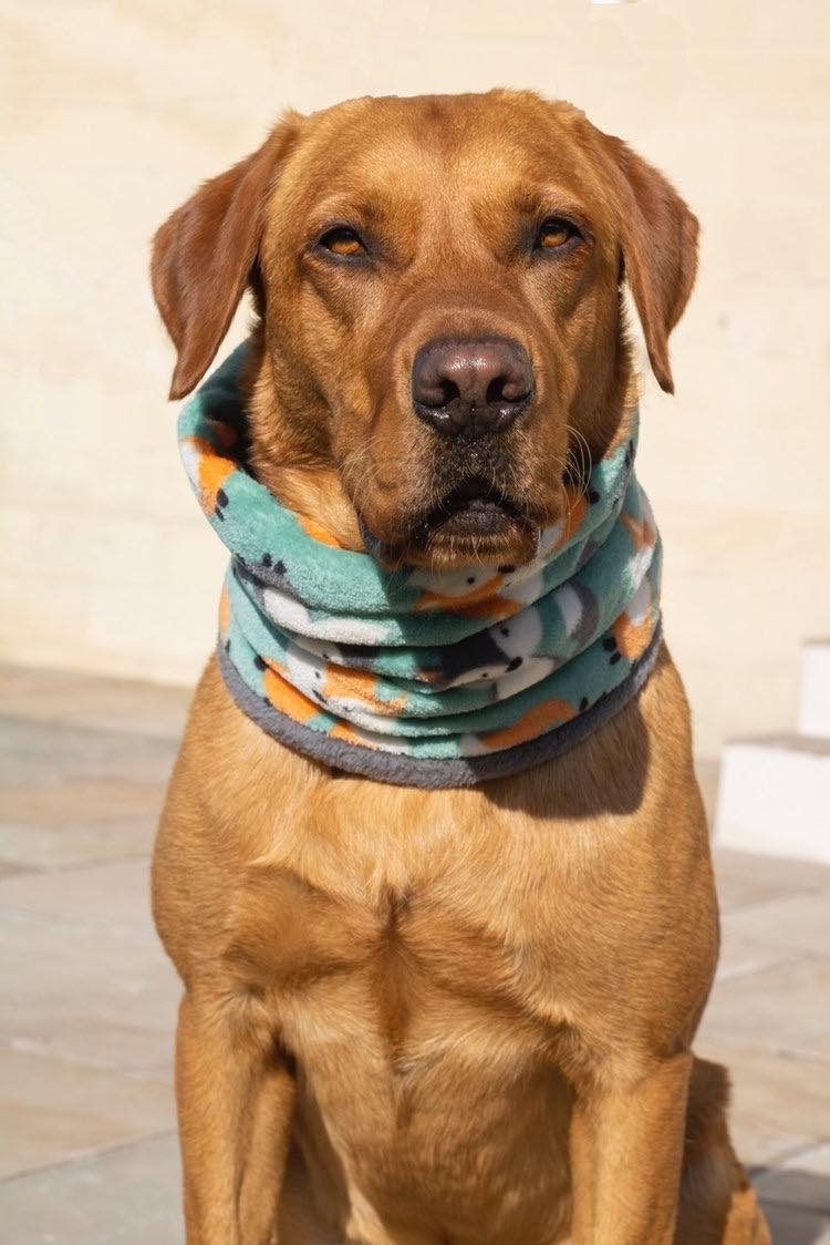 Double-Lined Fleece Dog Snood – Calming Neck Warmer for Anxiety, Fireworks & Agility Dogs