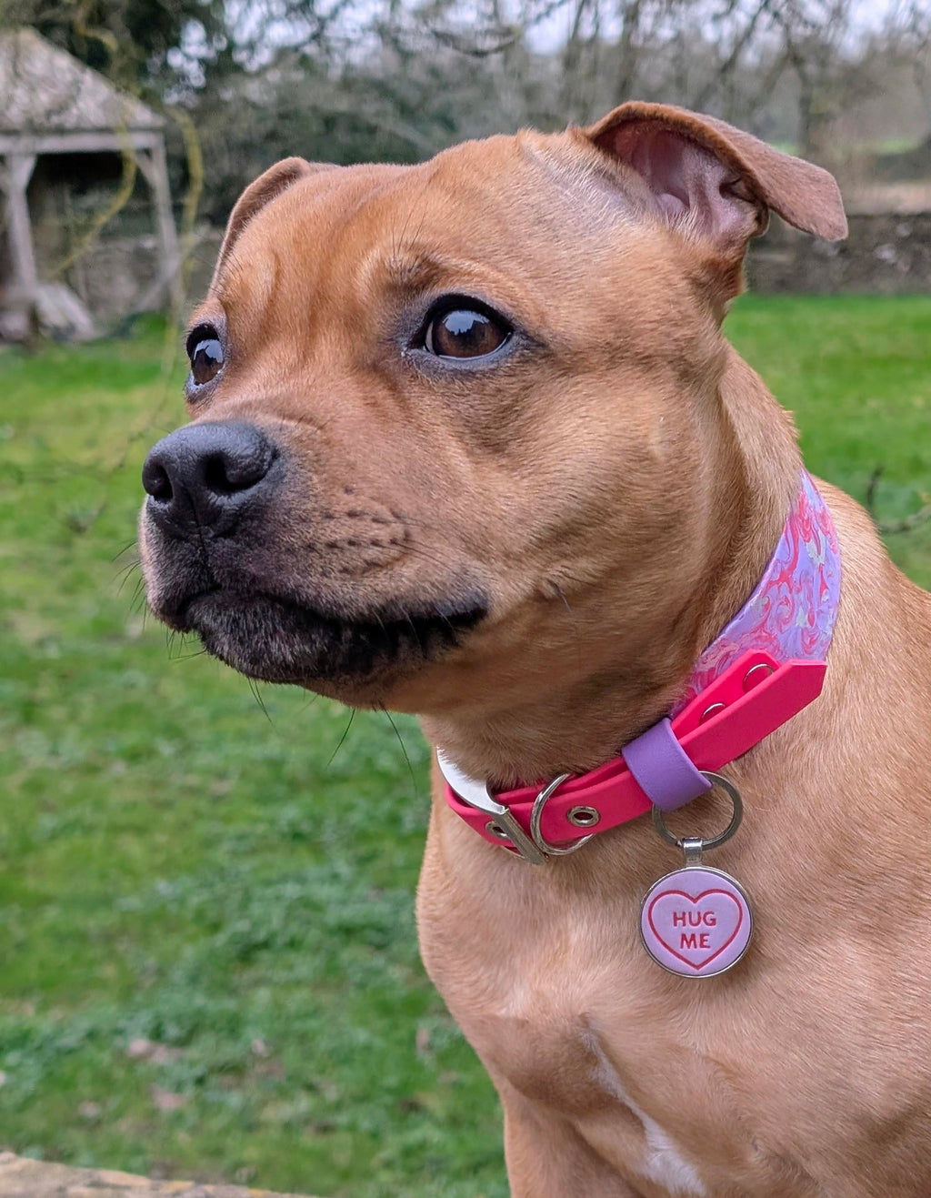 Create Your Own Watercolour BioThane Hound Collar