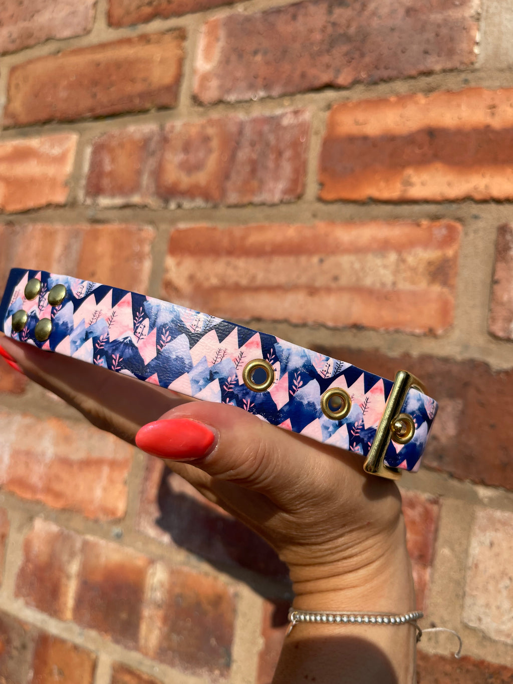 Create Your Own Printed BioThane Collar