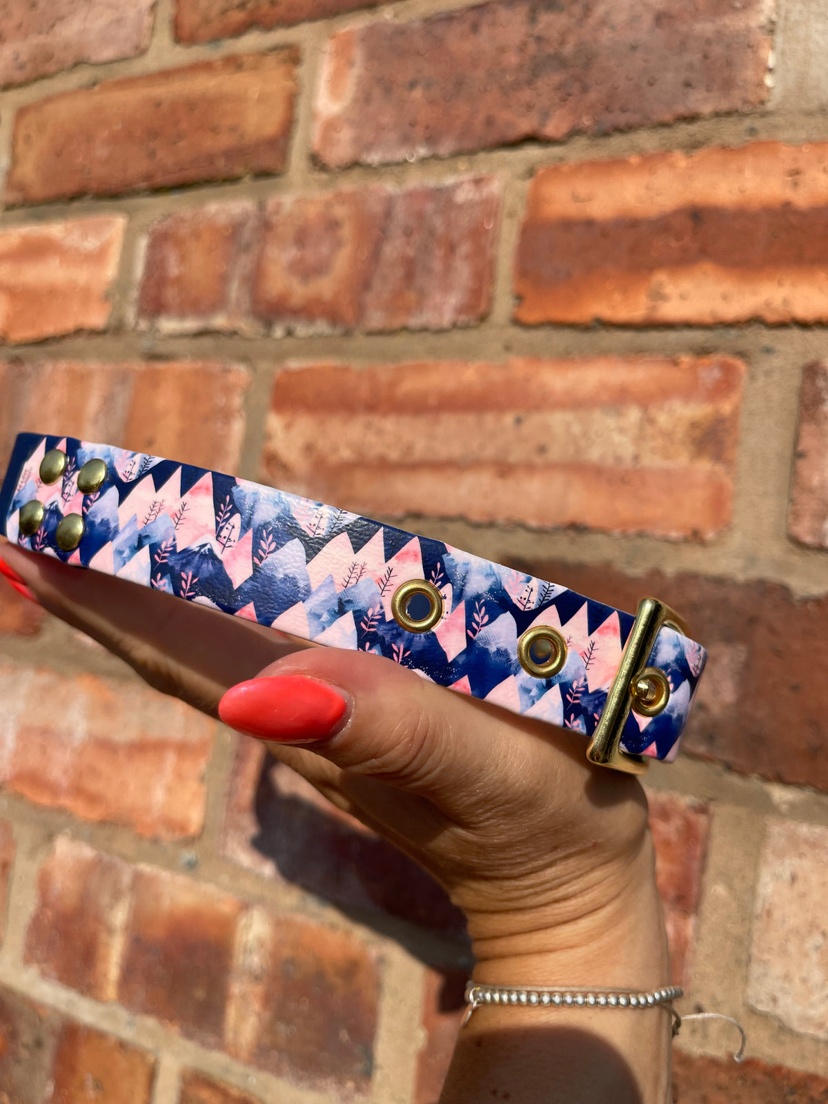 Create Your Own Printed BioThane Collar