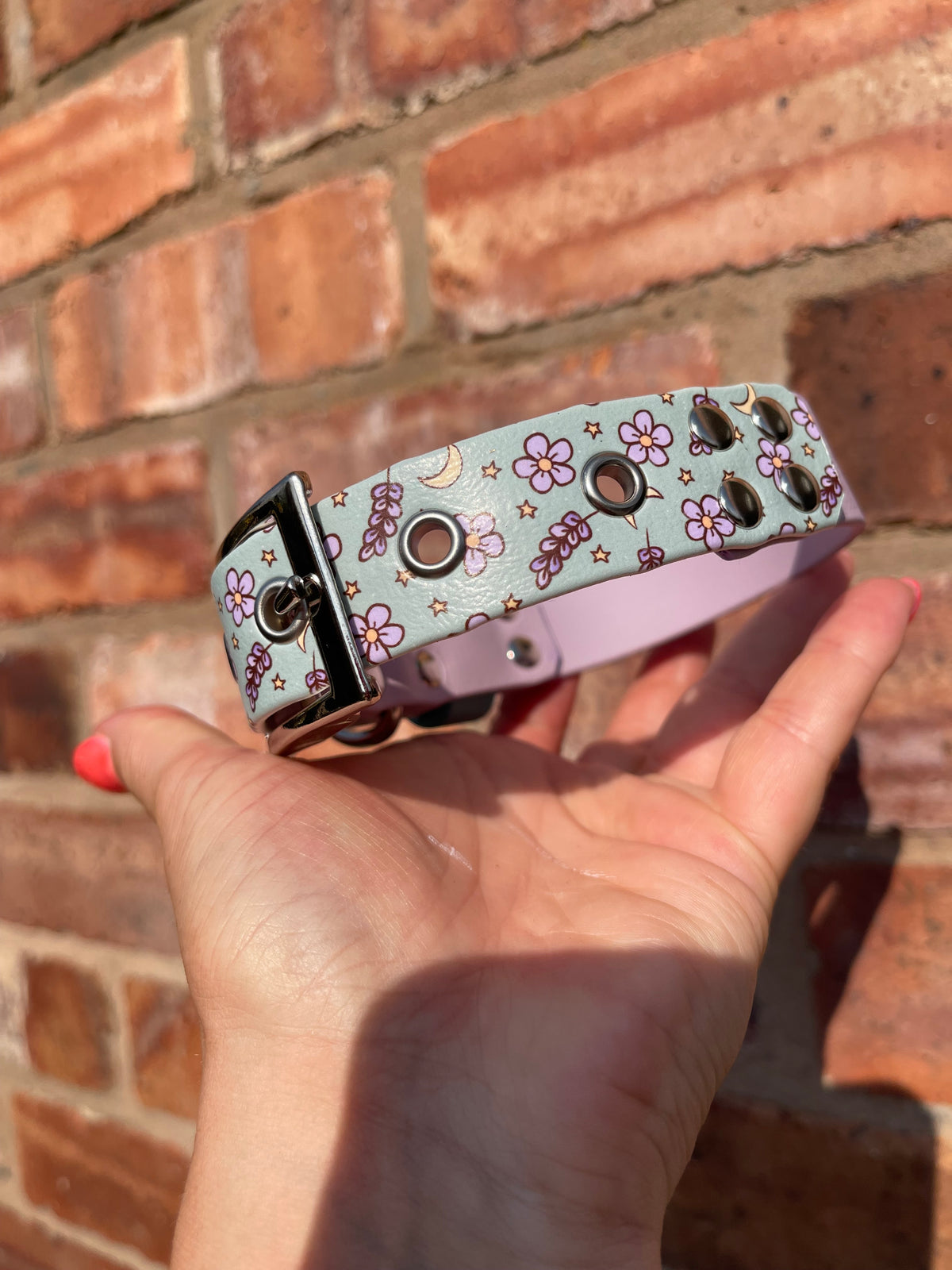 Create Your Own Printed BioThane Collar