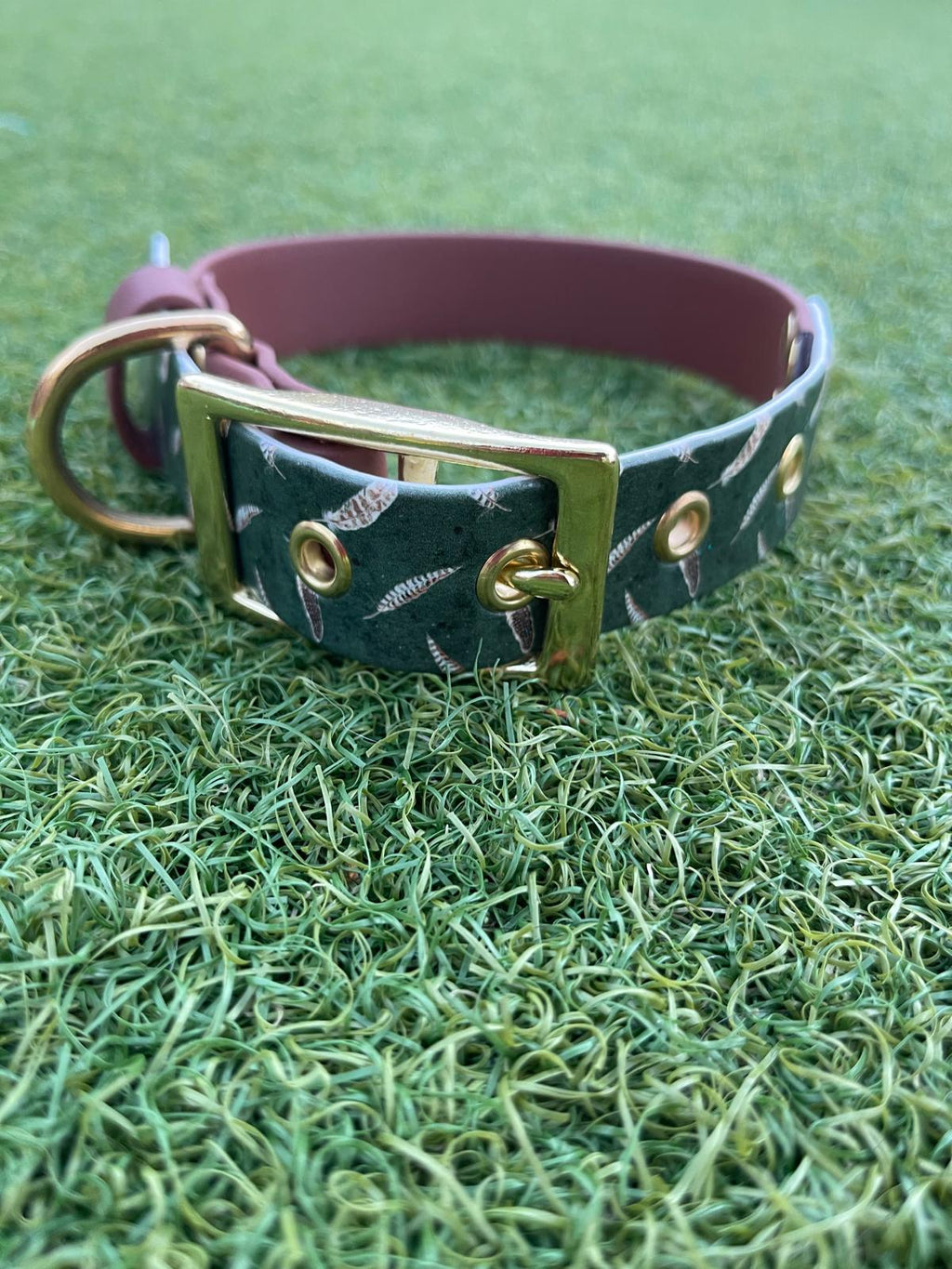 Create Your Own Printed BioThane Collar