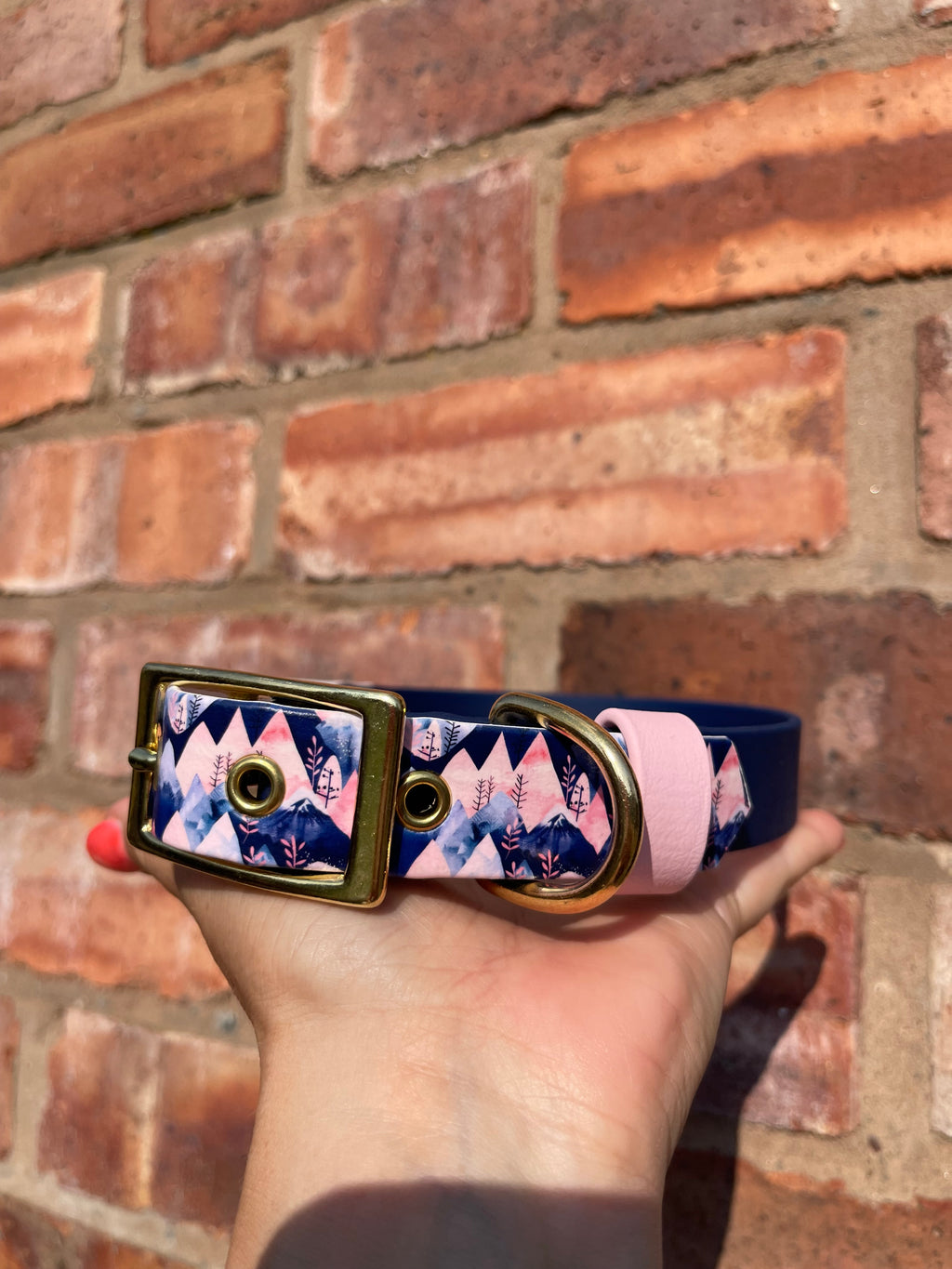 Create Your Own Printed BioThane Collar