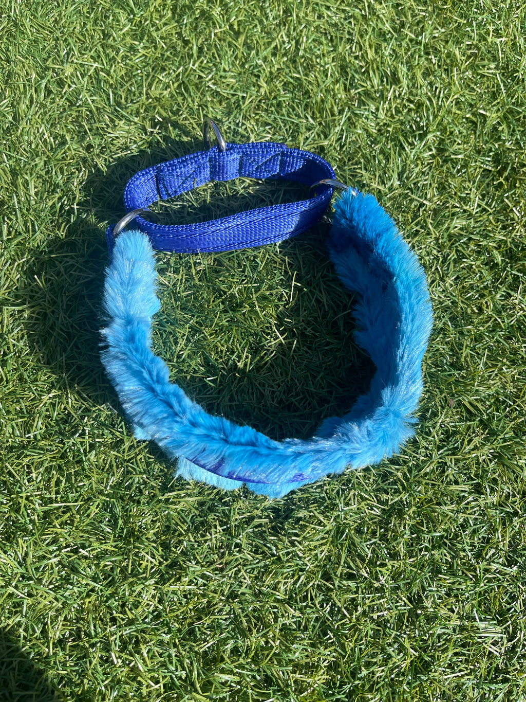 Design Your Own Fleece Lined Collar