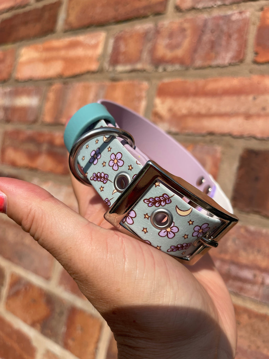 Create Your Own Printed BioThane Collar