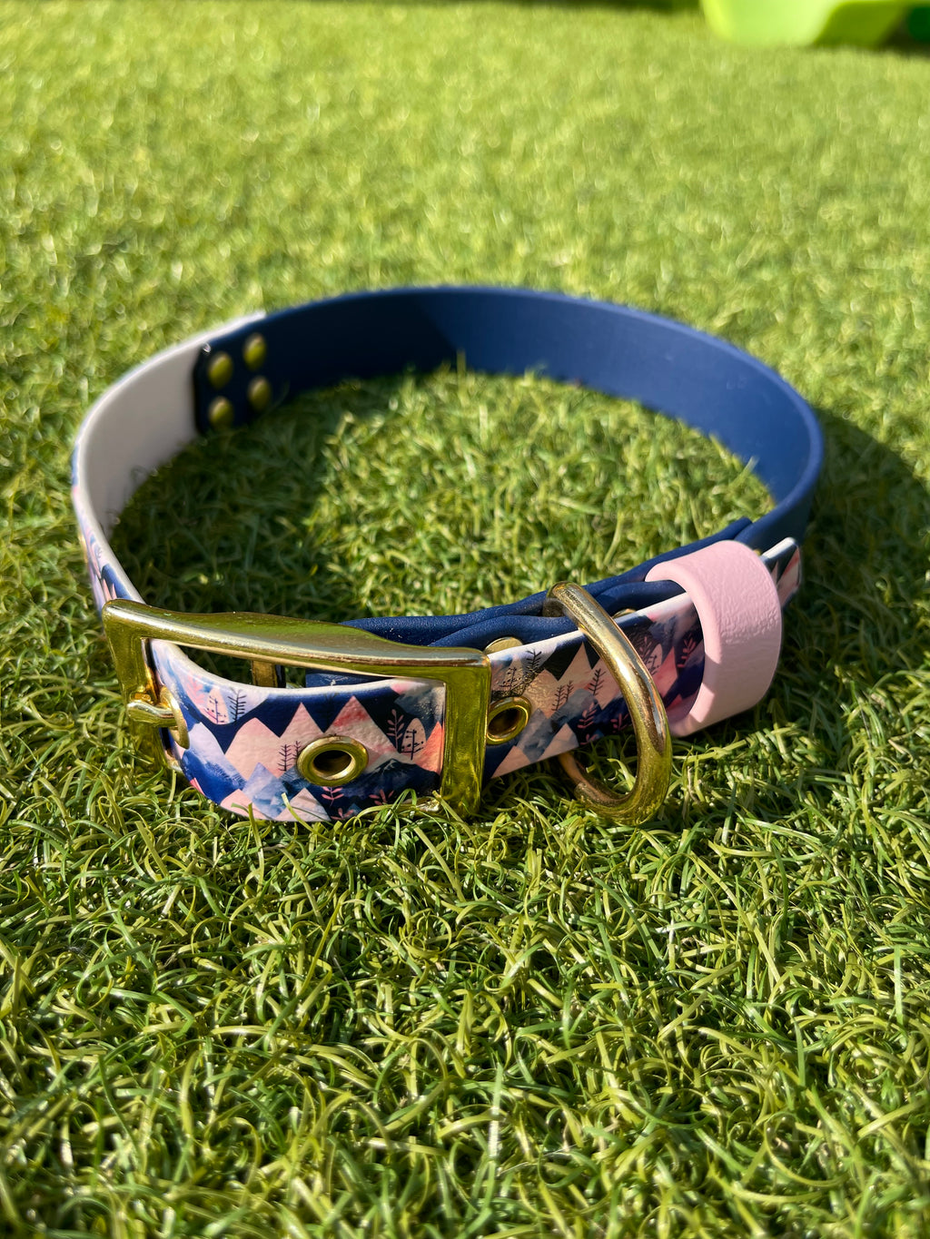 Create Your Own Printed BioThane Collar