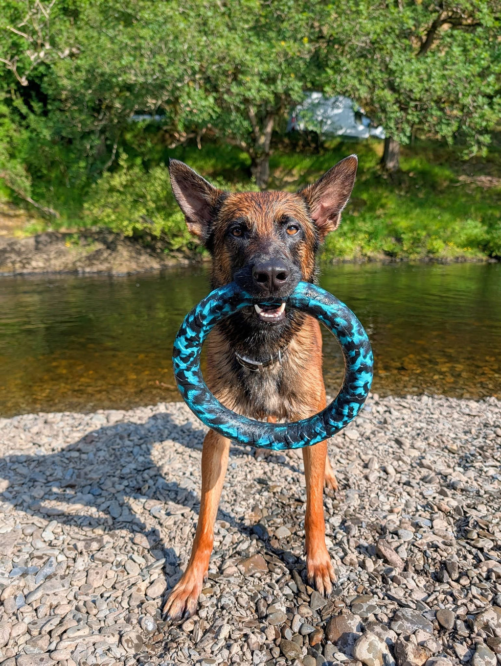 EVA Floating Dog Ring Toy – Soft Durable Dog Fetch Toy for Water & Outdoor Play