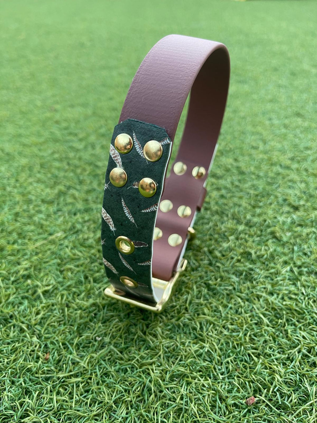 Create Your Own Printed BioThane Collar