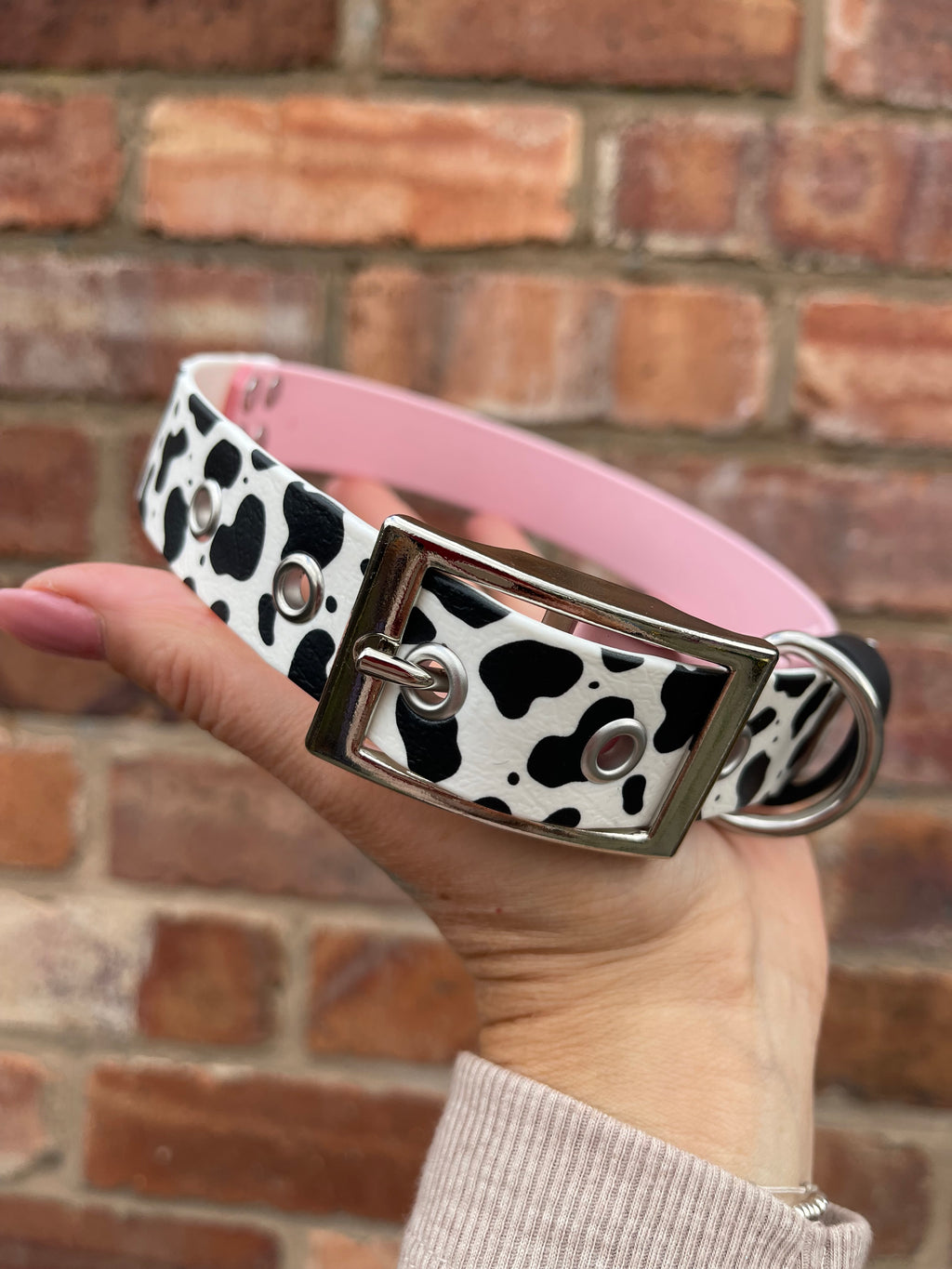 Create Your Own Printed BioThane Collar