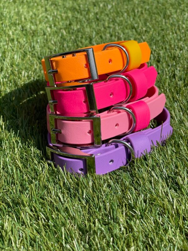 Create Your Own BioThane Collar