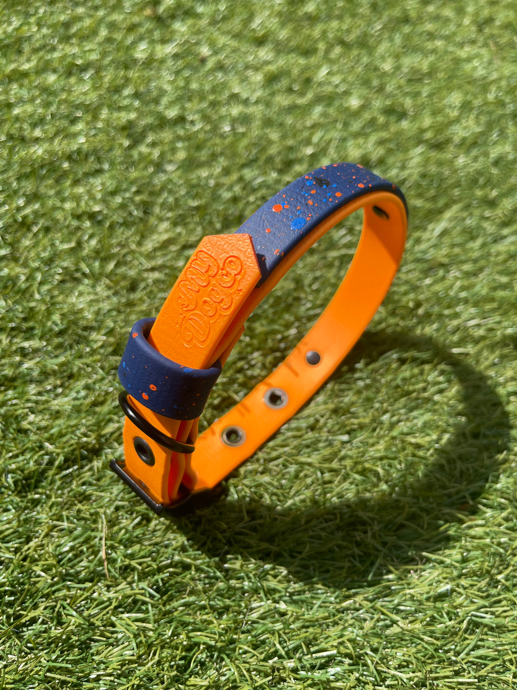 Create Your Own BioThane Collar