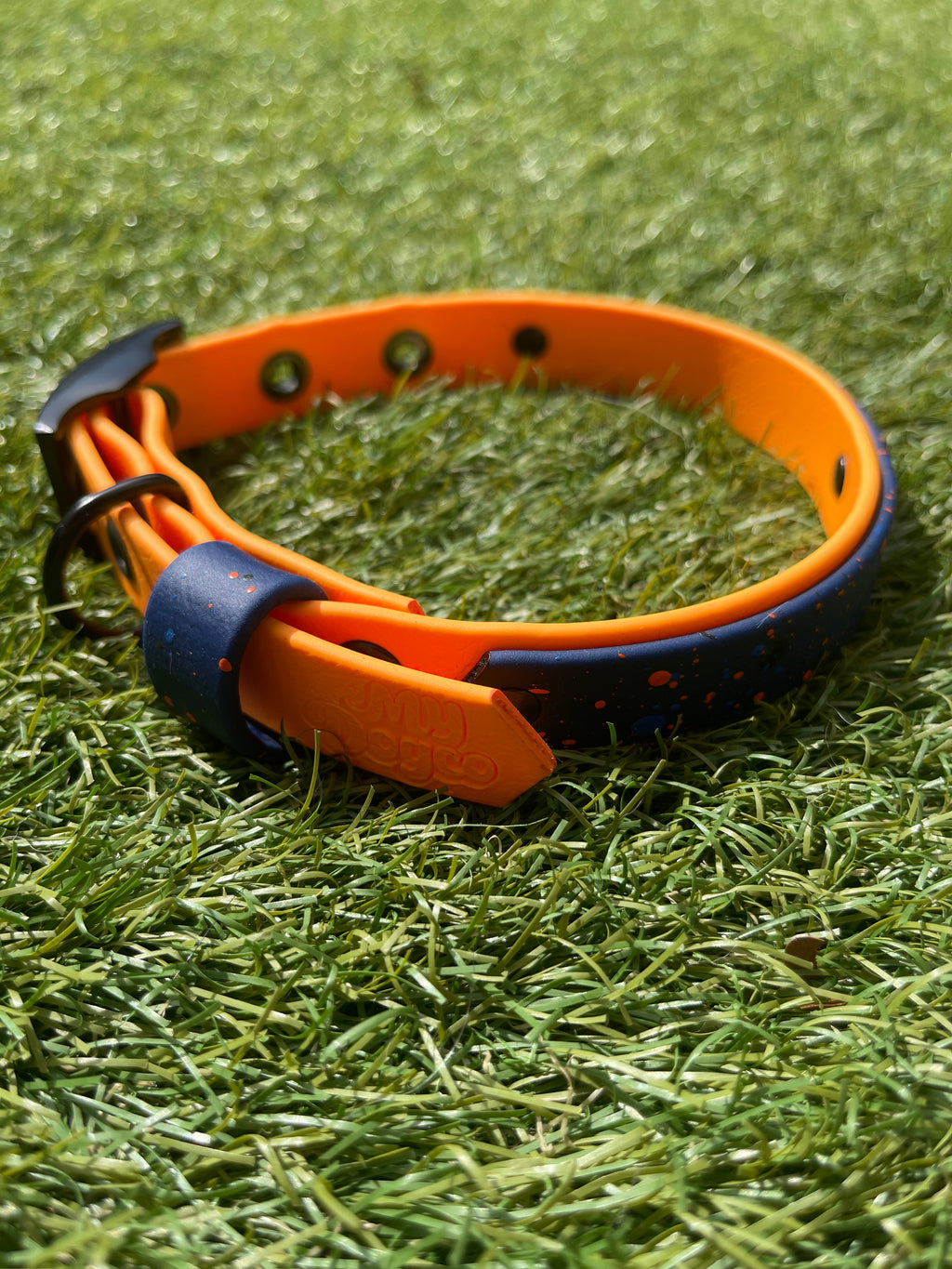 Create Your Own BioThane Collar