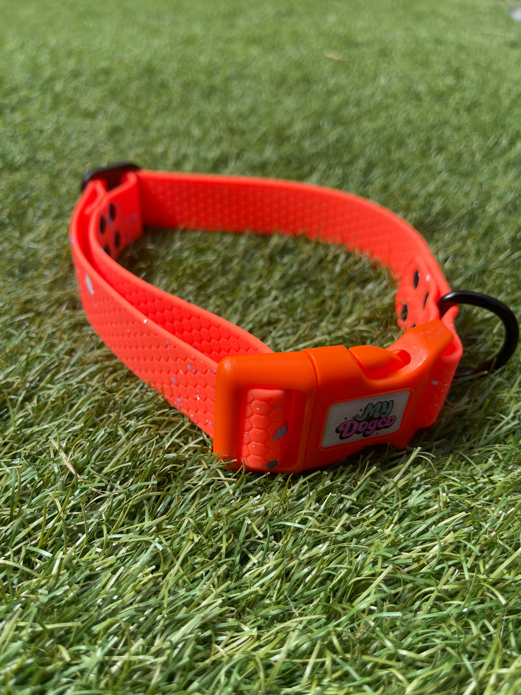 Create Your Own Hexa Clip Collar