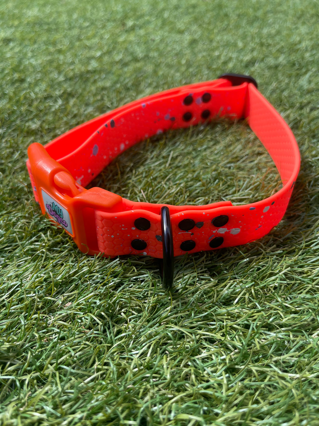 Create Your Own Hexa Clip Collar