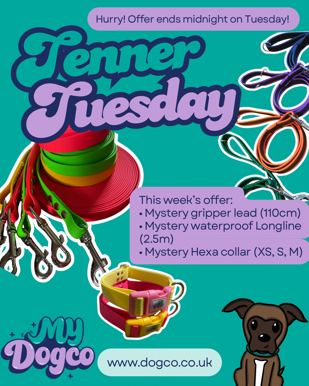 Tenner Tuesday Offer!
